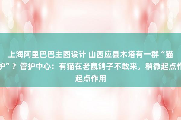 上海阿里巴巴主图设计 山西应县木塔有一群“猫看护”？管护中心：有猫在老鼠鸽子不敢来，稍微起点作用