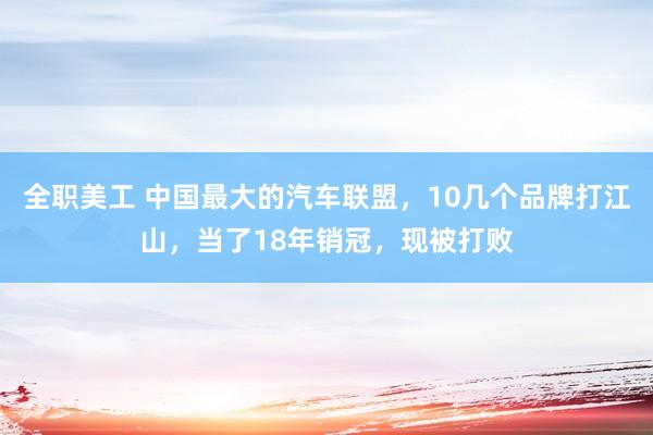 全职美工 中国最大的汽车联盟，10几个品牌打江山，当了18年销冠，现被打败