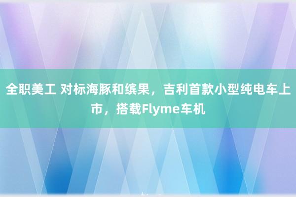 全职美工 对标海豚和缤果，吉利首款小型纯电车上市，搭载Flyme车机